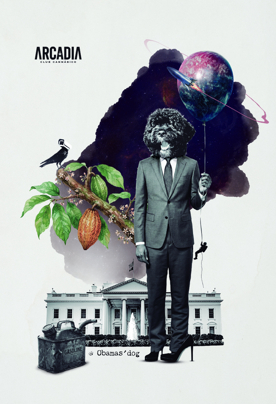 Etiqueta oficial de Obama's Dog